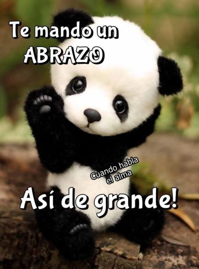 Te mando un abrazo así de grande! (Cuando habla el alma)