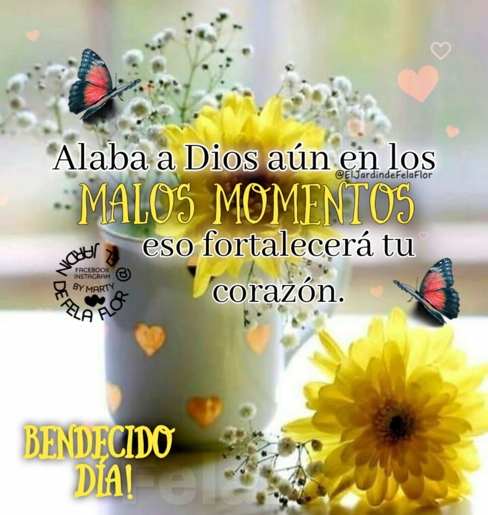 Alaba a Dios aún en los MALOS MOMENTOS eso fortalecerá tu corazón. BENDECIDO DÍA! - El jardin de Fela Flor