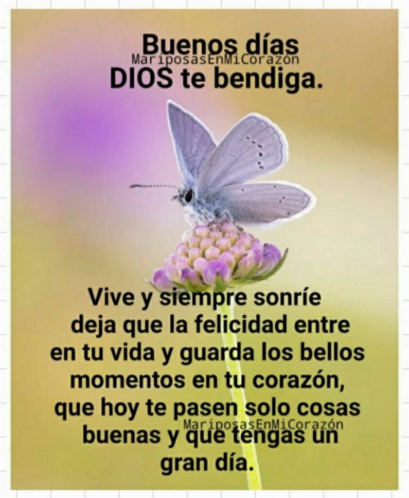 Buenos días, DIOS te bendiga. Vive y siempre sonríe deja que la felicidad entre en tu vida y guarda los bellos momentos en tu corazón, que hoy te pasen solo cosas buenas y que tengas un gran día.