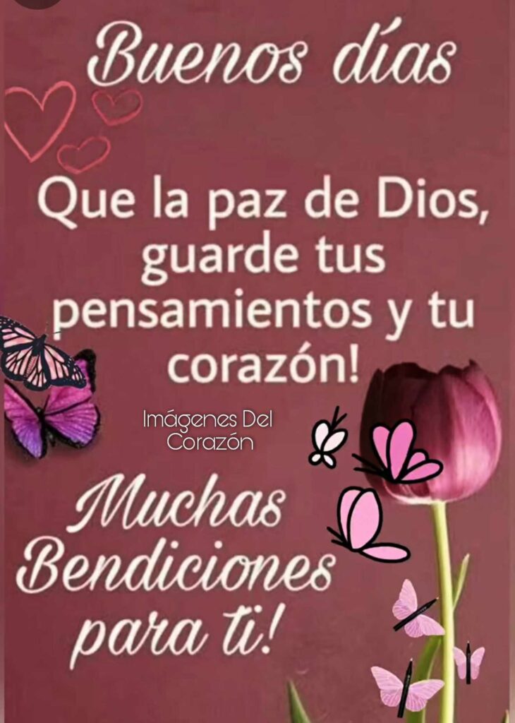 Buenos días, que la paz de Dios guarde tus pensamientos y tu corazón! Muchas bendiciones para ti!