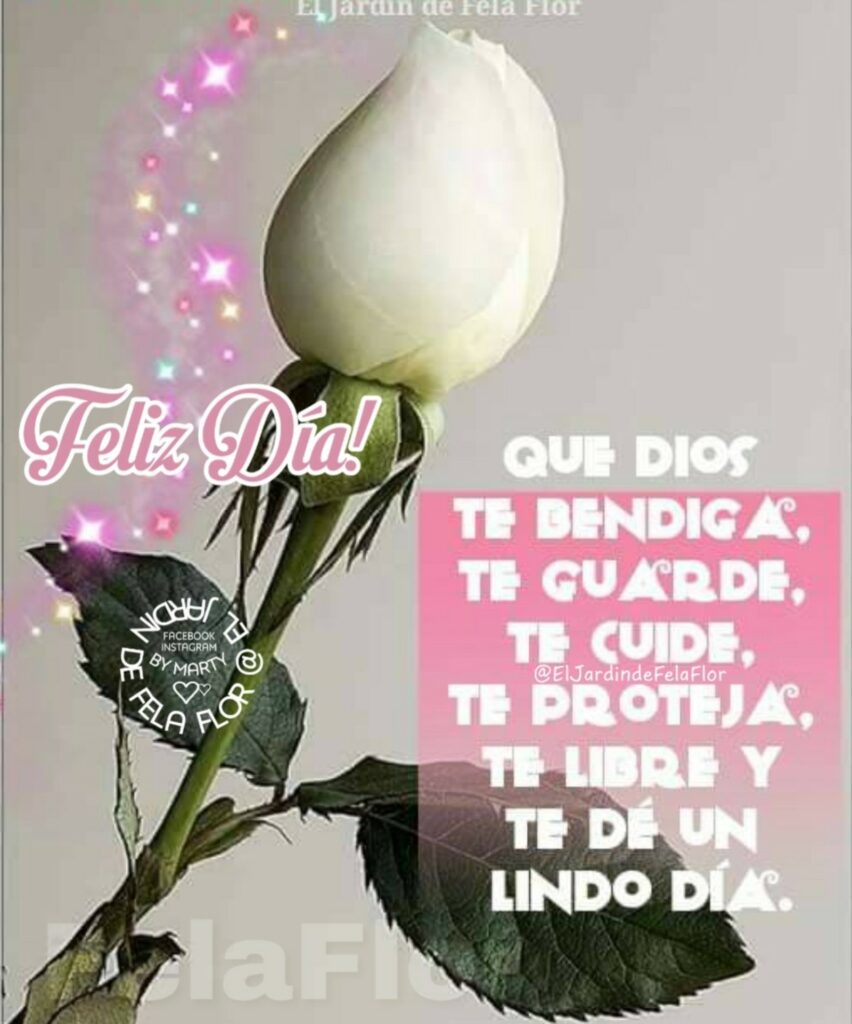 Feliz Día! Que Dios te bendiga, te guarde, te cuide, te proteja, te libre y te dé un lingo día.