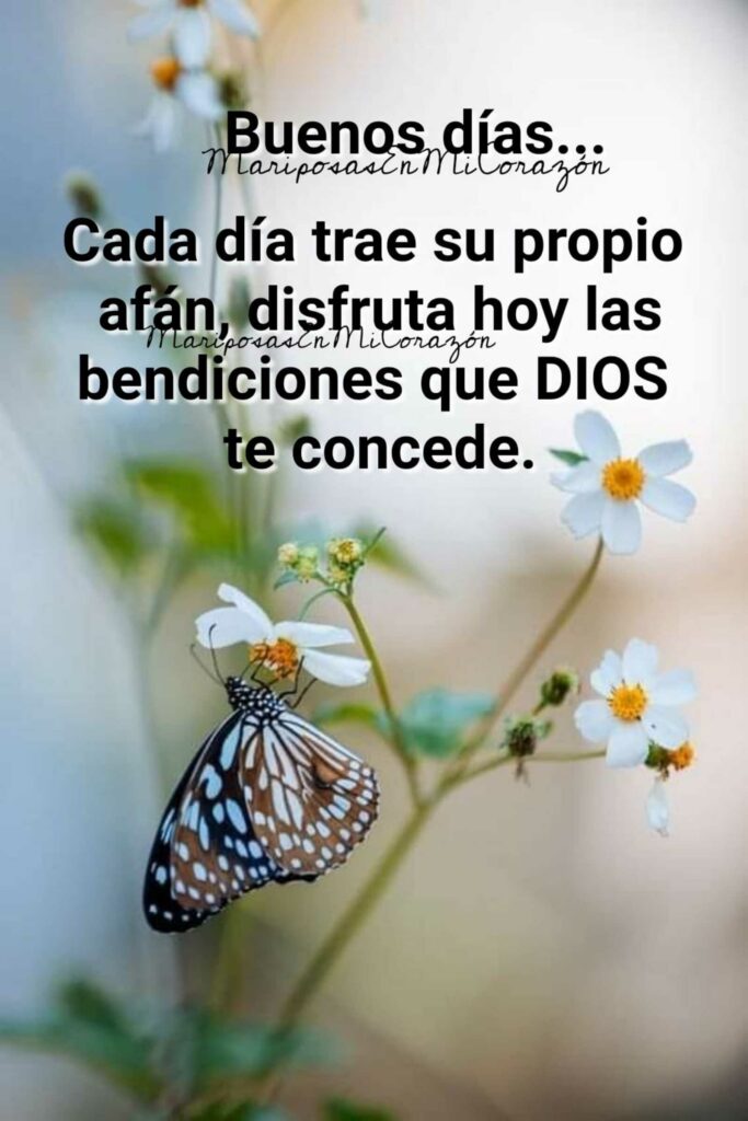 Buenos días... Cada día trae su propio afan, disfruta hoy las bendiciones que DIOS te concede.