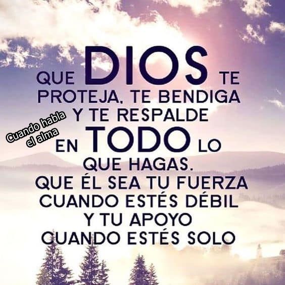 Que DIOS te proteja, te bendiga y te respalde en todo lo que hagas. Que Él sea tu fuerza cuando estés débil y tu apoyo cuando estés solo.