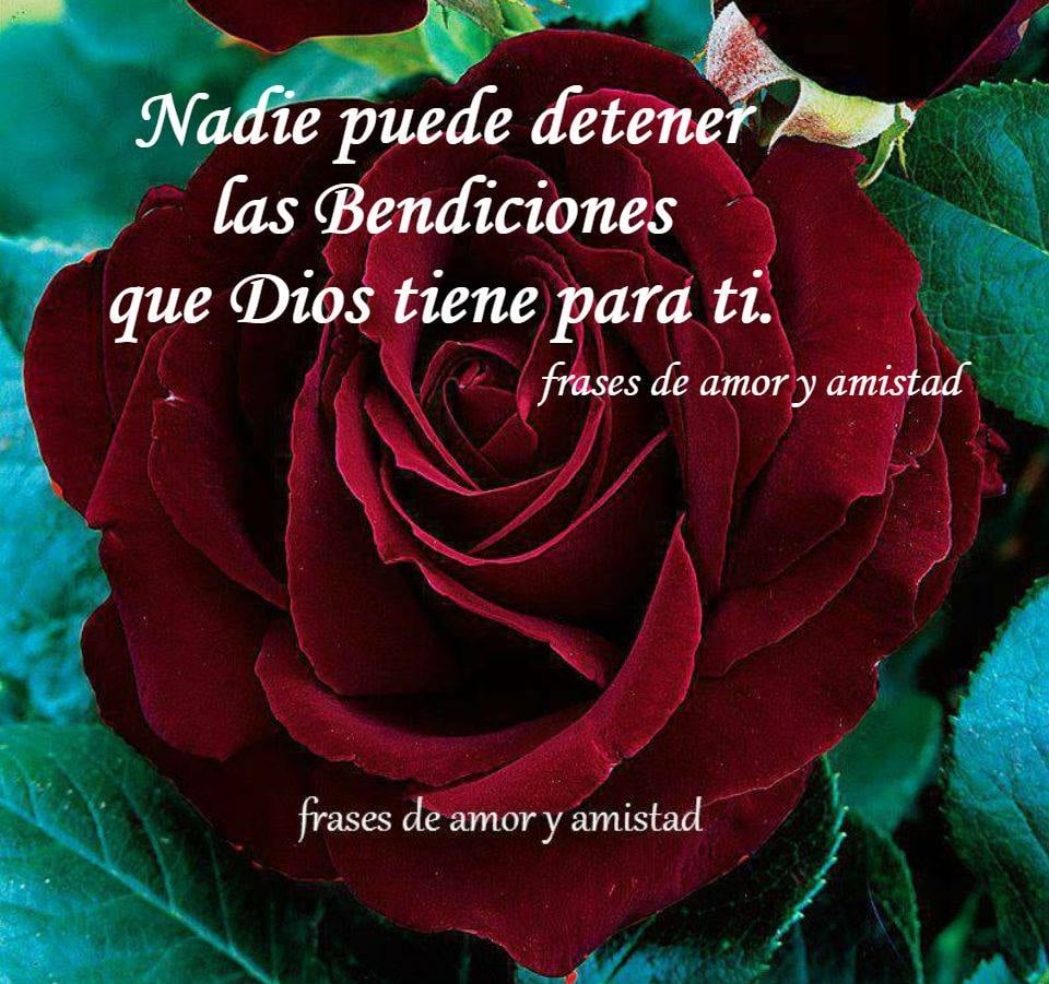 Nadie puede detener las Bendiciones que Dios tiene para ti.