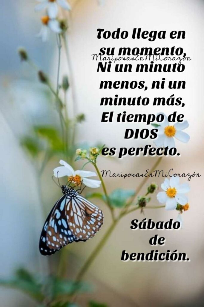 Todo llega en su momento, ni un minuto menos, ni un minuto más, el tiempo de Dios es perfecto. Sábado de bendición. (Mariposas en mi corazón)