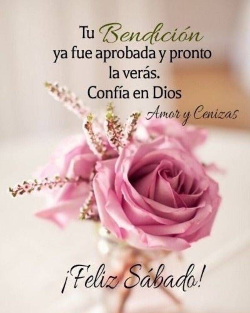 Tu bendición ya fue aprobada y pronto la verás. Confía en Dios. ¡Feliz Sábado!