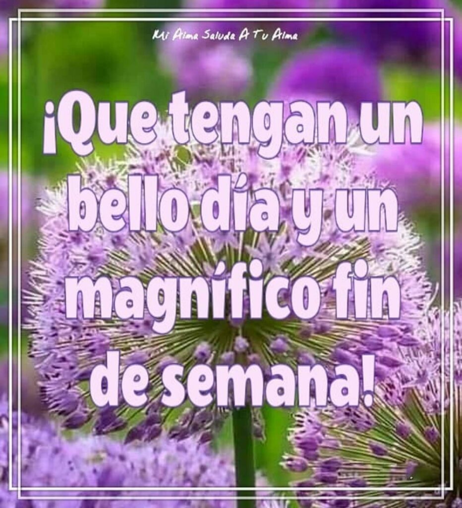 ¡Que tengan un bello día y un magnífico fin de semana!