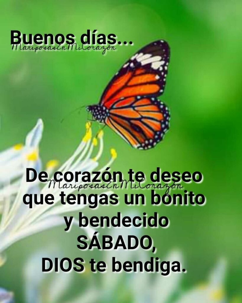 Buenos Dias... De cotazón te deseo que tengas un bonito y bendecido Sábado, Dios te bendiga.