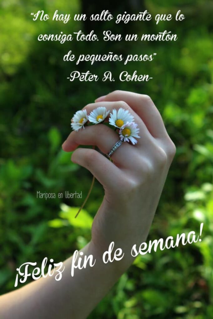 "No hoy un salto gigante que lo consiga todo. Son un montón de pequeñas pasos." (Peter A. Cohen) ¡Feliz fin de semana!