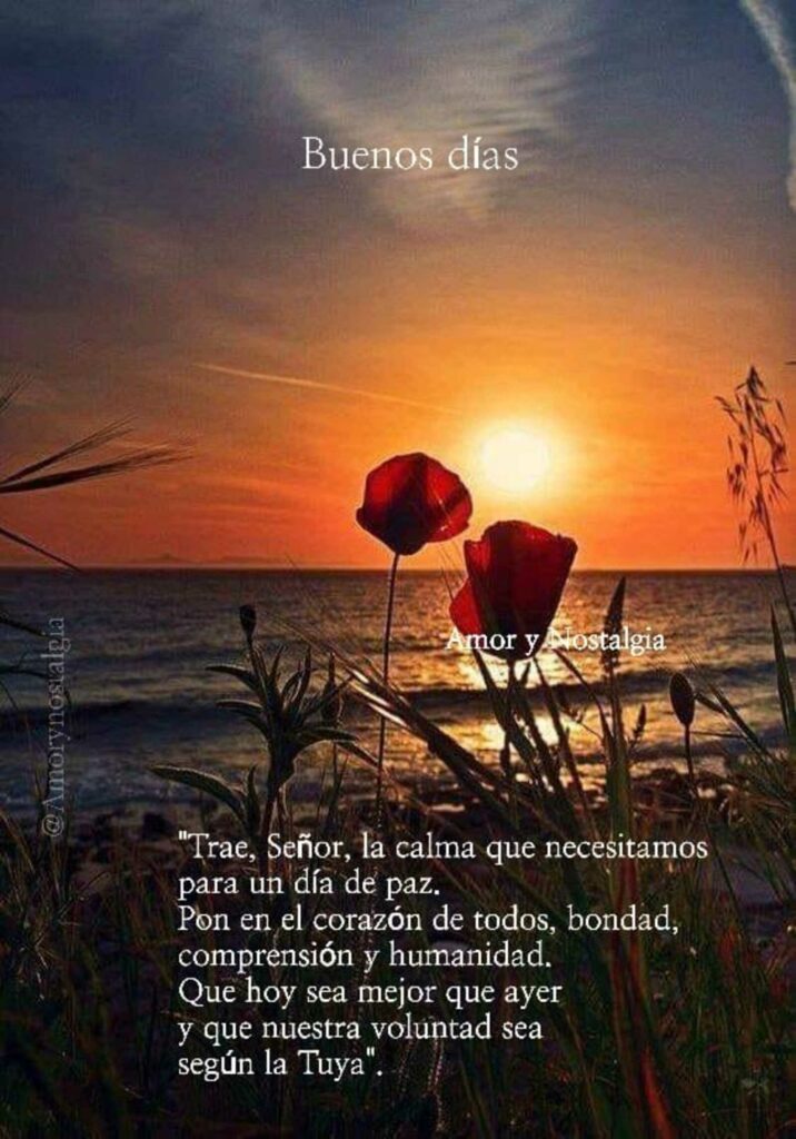 Buenos días. Trae, Señor, la calma que necesitamos para un día de paz. Pon en el corazón de todos, bondad, comprensión y humanidad... (Amor y nostalgia)