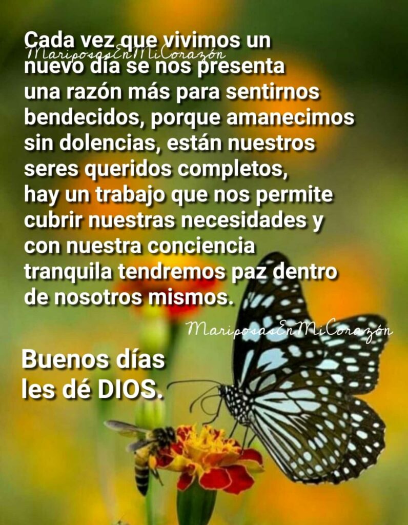 Cada vez que vivimos un nuevo día se nos presenta una razón más para sentirnos bendecidos, porque amanecimos din dolencias... Buenos días les dé DIOS. (Mariposas es mi corazón)