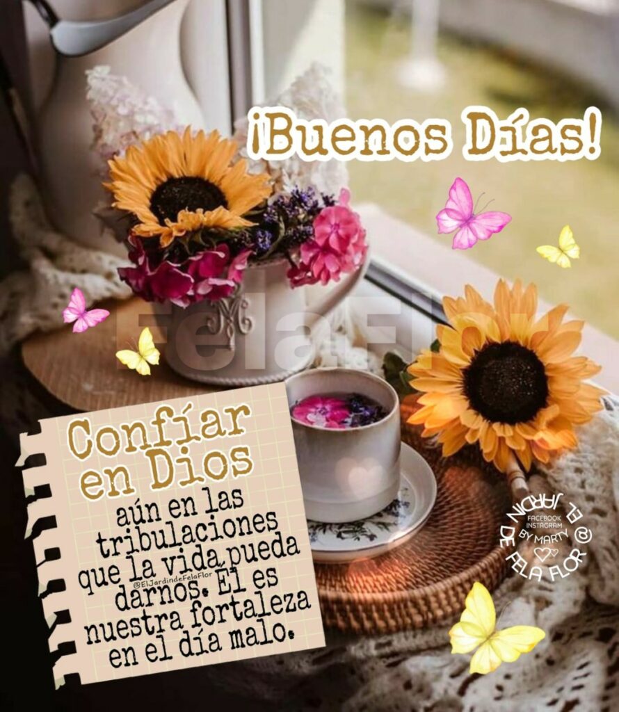 ¡Buenos Días! Confíar en Dios aún en las tribulaciones que la vida pueda darnos. Él es nuestra fortaleza en el día malo.