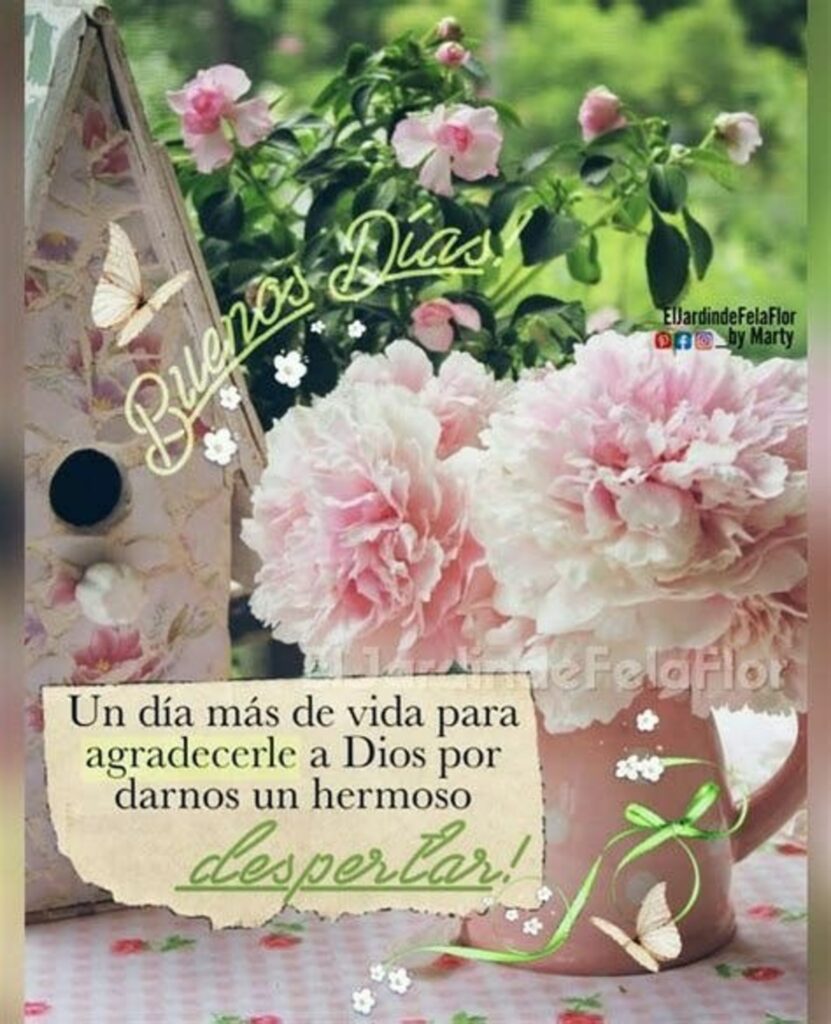 Buenos Días! Un día más de vida para agradecerle a Dios por darnos un hermoso despertar!