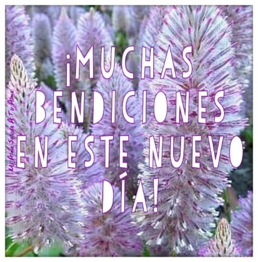 ¡MUCHAS BENDICIONES ES ESTE NUEVO DÍA!