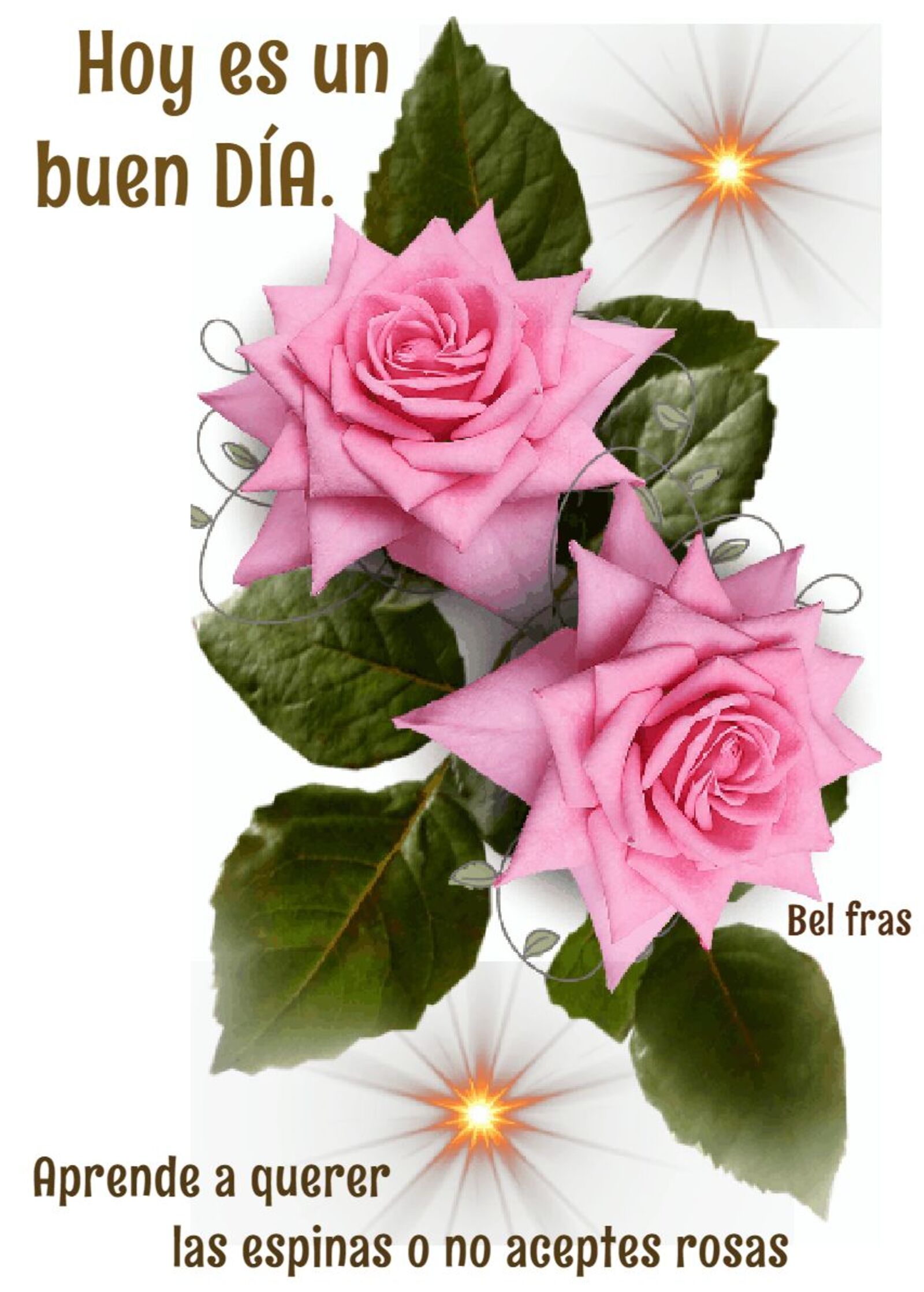 53 Imágenes para desear Buen Día