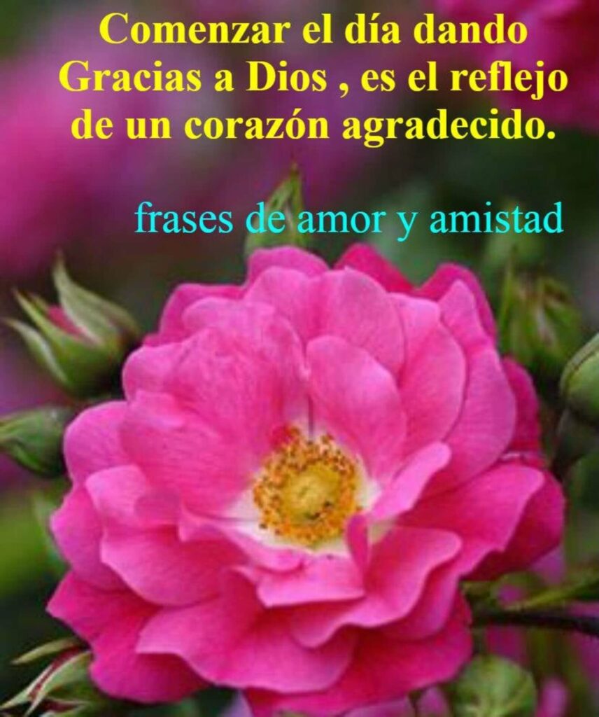 Comenzar el día dando Gracias a Dios, es el reflejo de un corazón agradecido. (frases de amor y amidtad)