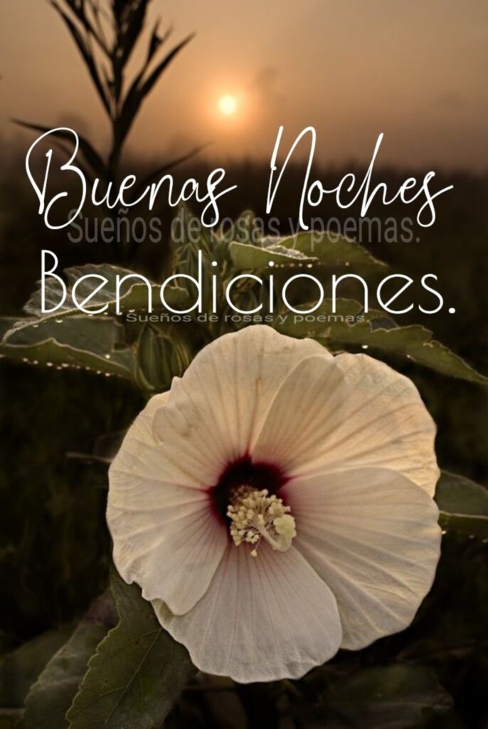 Buenas Noches, Bendiciones.