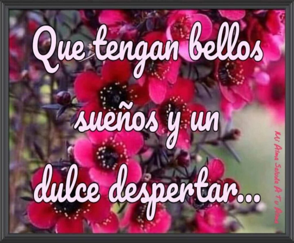 Que tengan bellos sueños y un dulce despertar...