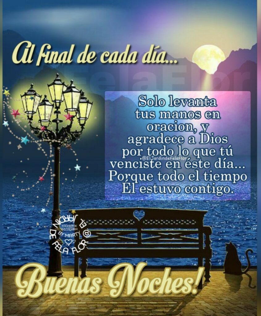 Al final de cada día... Solo levanta tus manos en oracion, y agradece a Dios por todo lo que tú venciste en éste día... Porque todo el tiempo él estuvo contigo. Buenas noches!