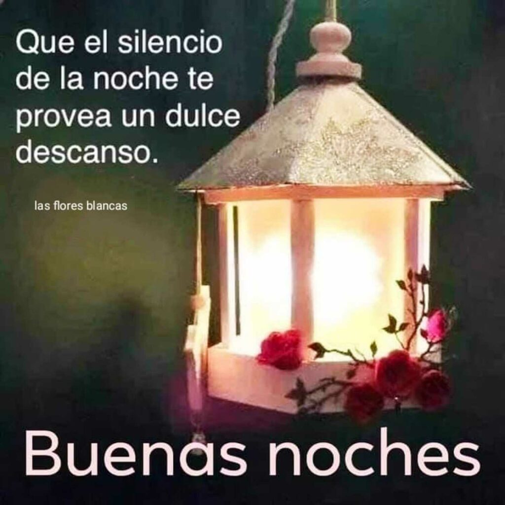 Que el silencio de la noche te provea un dilce descanso. Buenas noches (las flores blancas)