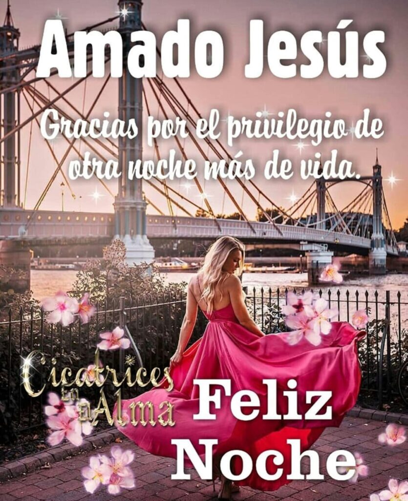 Amado Jesús, gracias por el privilegio de otra noche más de vida. Feliz Noche