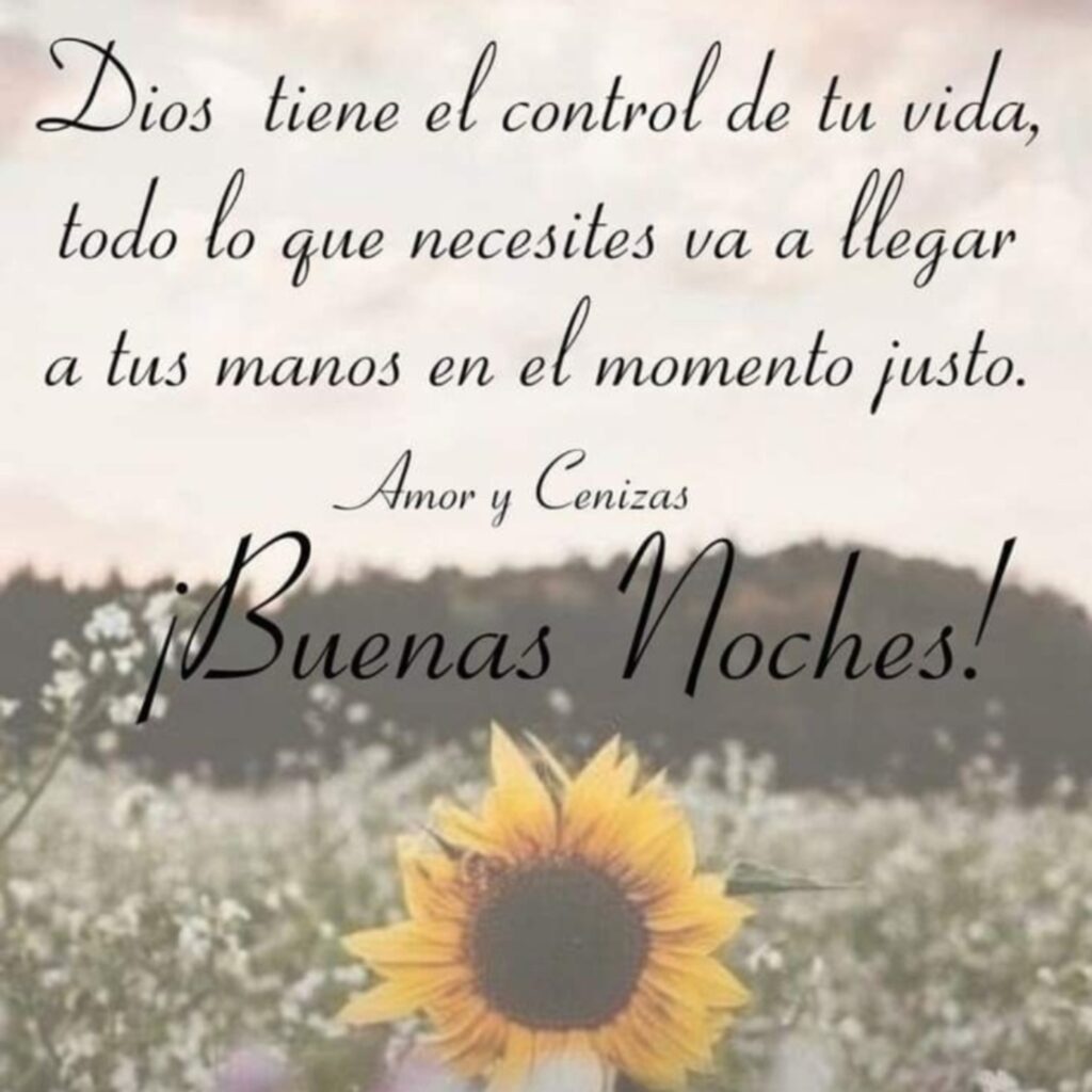 Dios tiene el control de tu vida, todo lo que necesites va a llegar a tus manos en el momento justo. ¡Buenas Noches!