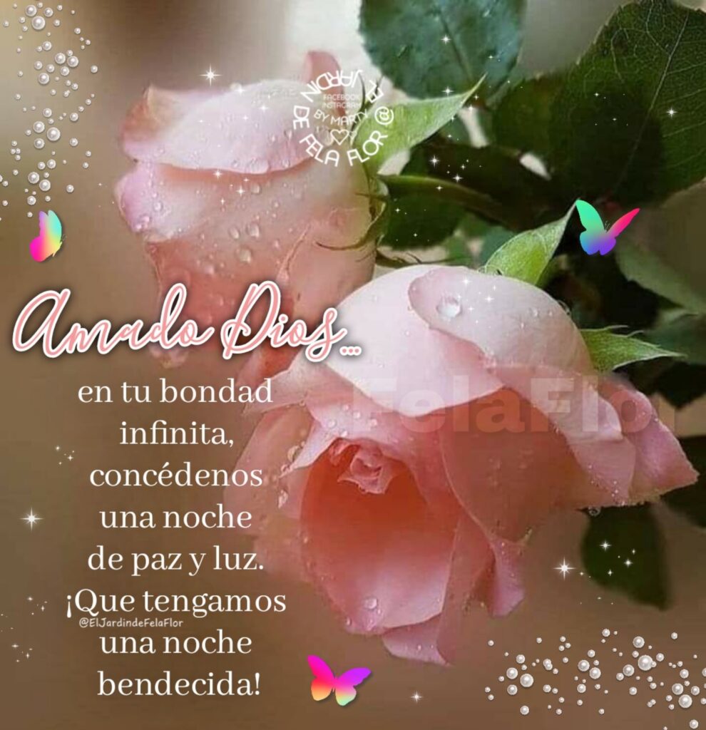 Amado Dios... en tu bondad infinita, concédenos una noche de paz y luz. ¡Que tengamos una noche bendecida!