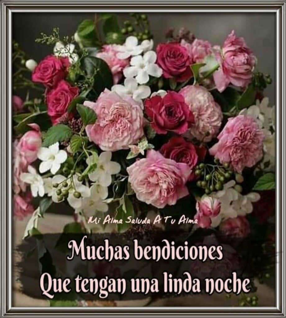 Muchas bendiciones, que tengan una linda noche