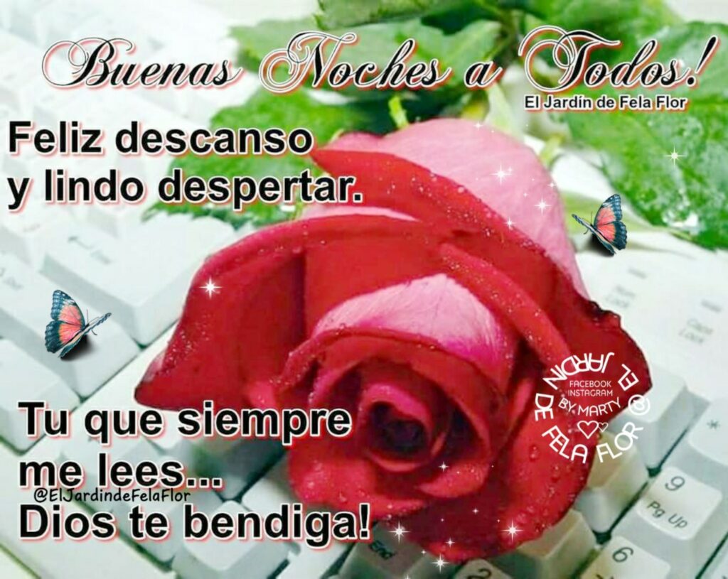 Buenas Noches a todos! Feliz descanso y lindo despertar. Tu que siempre me lees... Dios te bendiga!