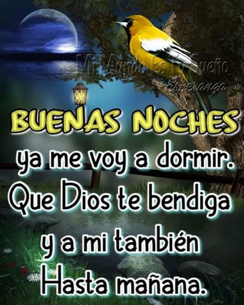 BUENAS NOCHES. Ya me voy a dormir. Que Dios te bendiga y a mi también, Hasta mañana.