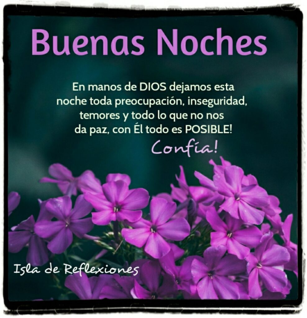 Buenas Noches. En manos de DIOS dejamos esta noche toda preocupación, inseguridad, temores y todo lo que no nos de paz, con Él todo es POSIBLE! Confía!