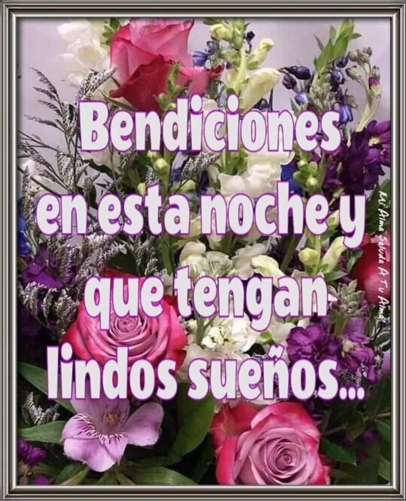 Bendiciones en esta noche y que tengan lindos sueños...