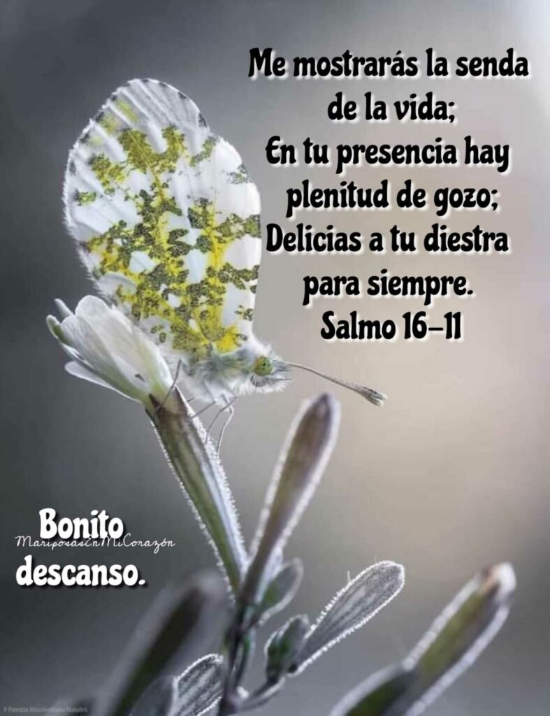 Me mostrarás la senda de la vida; en tu presencia hay plenitud de gozo; delicias a tu diestra para siempre. (Salmo 16-11) Bonito descanso.