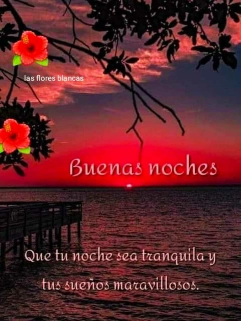 Buenas noches. Que tu noche sea tranquila y tus sueños maravillosos.