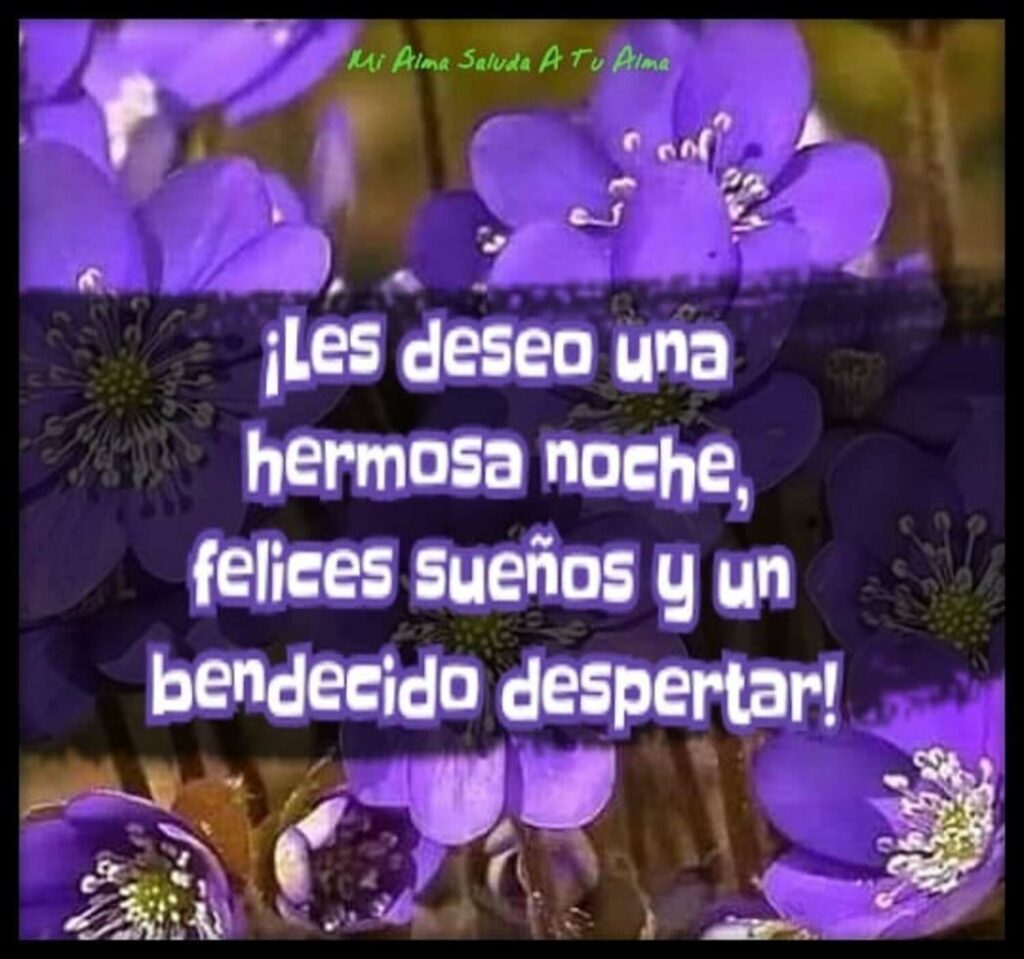 ¡Les deseo una hermosa noche, felices sueños y un bendecido despertar!