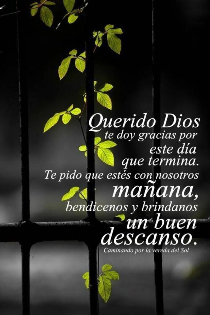 Querido Dios te doy gracias por este día que termina. Te pido que estés con nosotros mañana, bendicenos y brindanos un buen descanso.