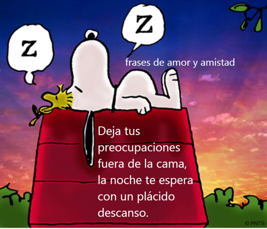 Deja tus preocupaciones fuera de la cama, la noche te espera con un plácido descanso. - Snoopy