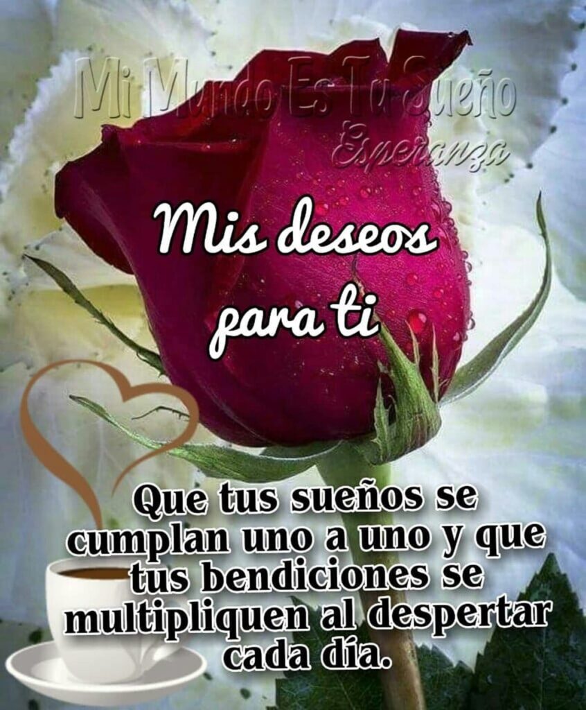 Mis deseos para ti: Que tus sueños se cumplan uno a uno y que tus bendiciones se multipliquen al despertar cada día.