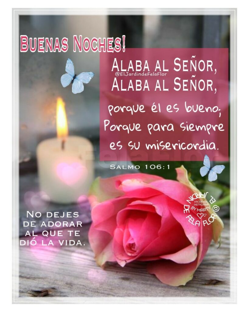 BUENAS NOCHES! ALABA AL SEÑOR, ALABA AL SEÑOR, porque él es bueno; porque para siempre es su misericordia. - Salmo 106:1