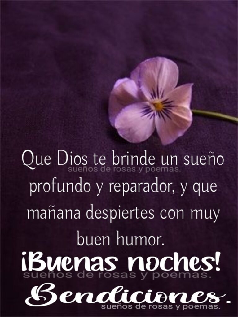 Que Dios te brinde un sueño profundo y reparador, y que mañana despiertes con muy buen humor. ¡Buenas Noches! Bendiciones.