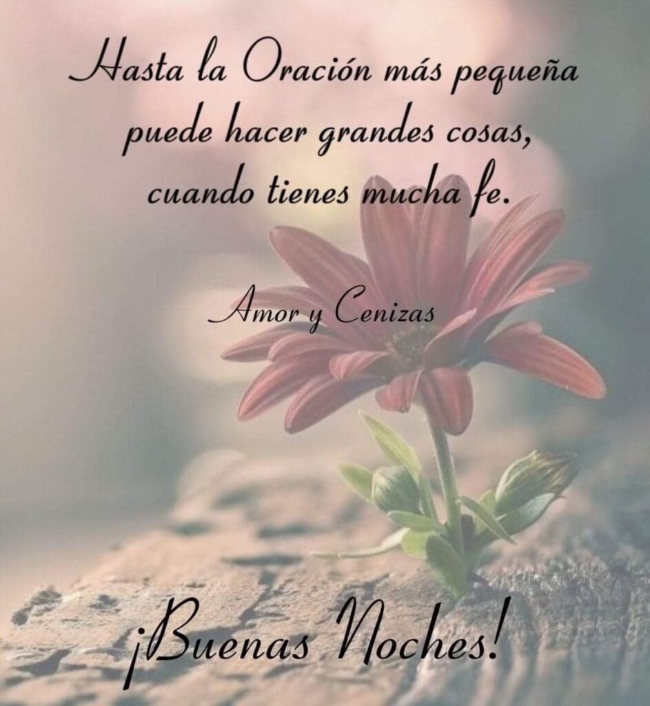 Hasta la Oración más pequeña puede hscer grandes cosas, cuando tienes mucha fe. ¡Buenas Noches! (Amor y cenizas)