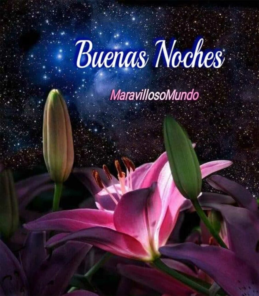 Buenas Noches bellas imágenes con las flores