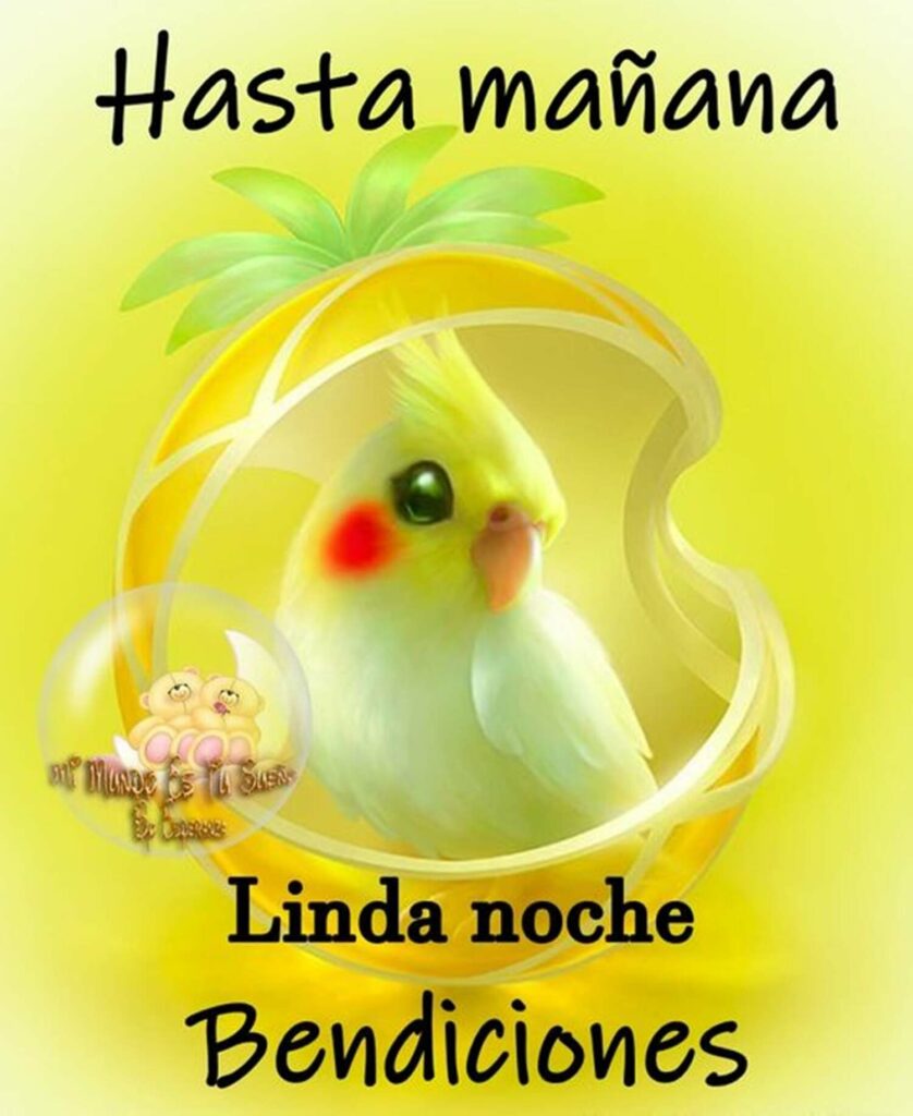 Hasta mañana, linda noche, bendiciones