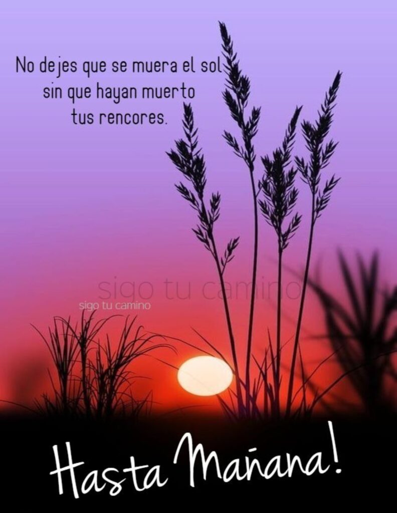 No dejes que se muera el sol sin que hayan muerto tus rencores. Hasta Mañana!