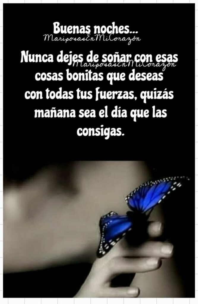 Buenas noches... Nunca dejes de soñar son esas cosas bonitas que deseas con todas tus fuerzas, quizás mañana sea el día que las consigas.