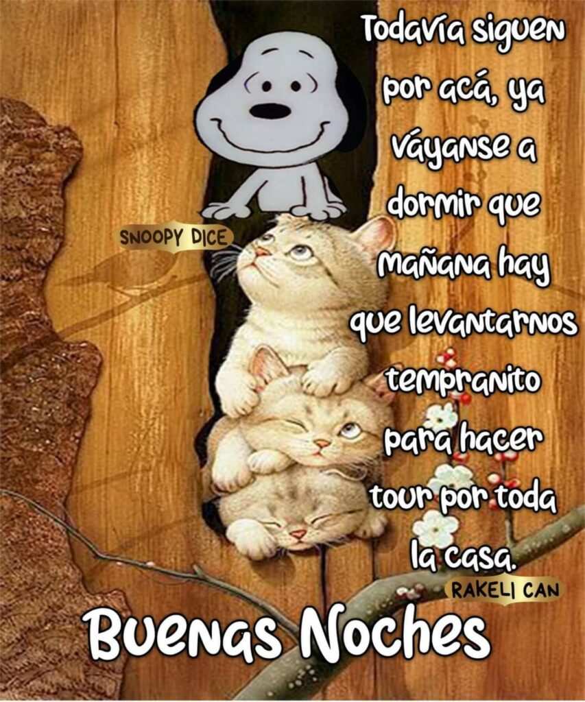 Todavia siguen por acá, ya váyanse a dormir que mañana hay que levantarnos tempranito para hacer tour por toda la casa. Buenas Noches (Snoopy)