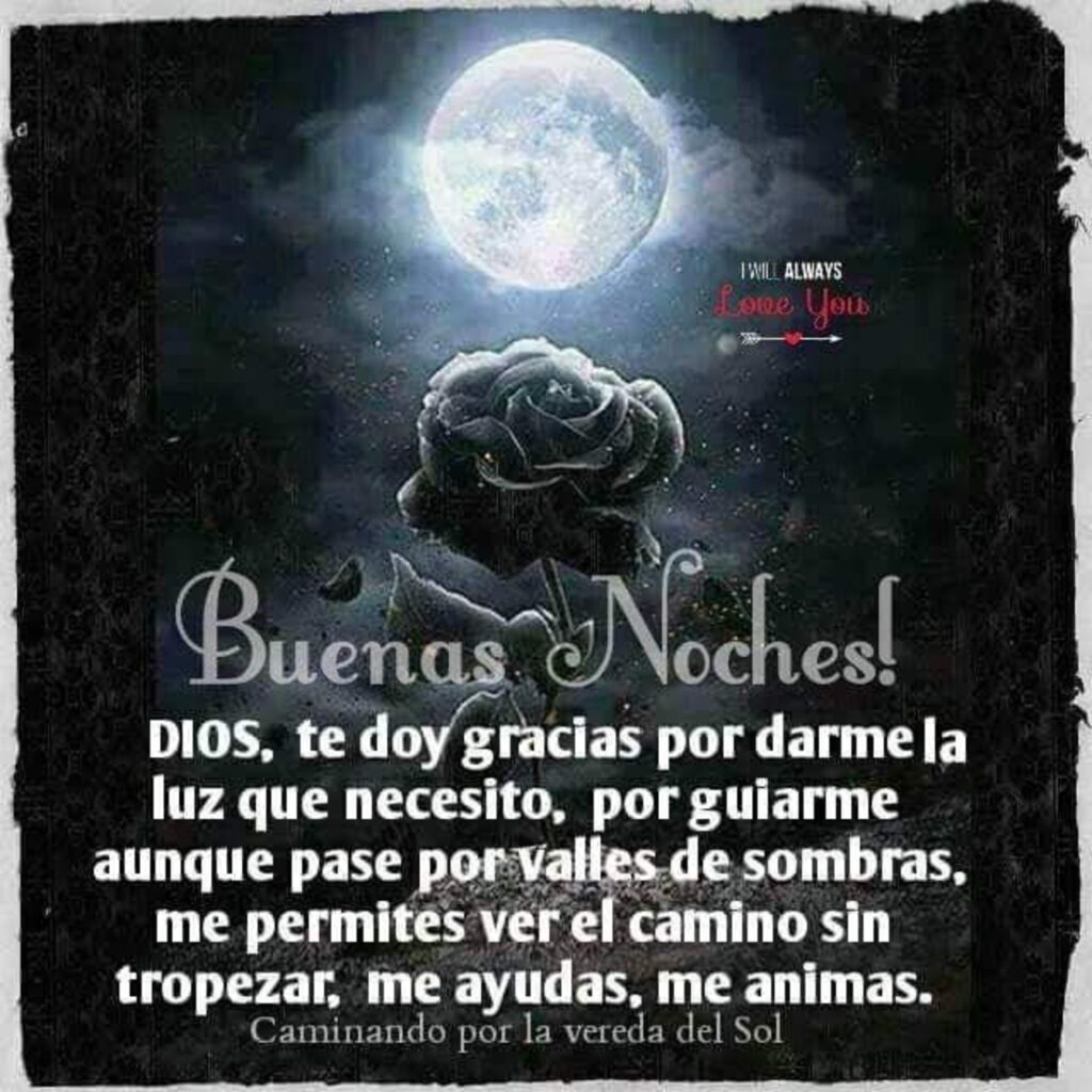 Buenas Noches! DIOS, te doy gracias por darme la luz que necesito, por guiarme aunque pase por valles de sombras, me permites ver el camino sin tropezar, me ayudas, me animas.