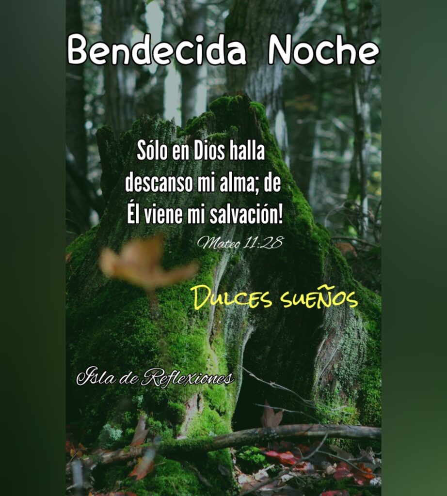 Bendecida Noche. Sólo en Dios halla descanso mi alma; de Él viene mi salvación! Dulces Sueños