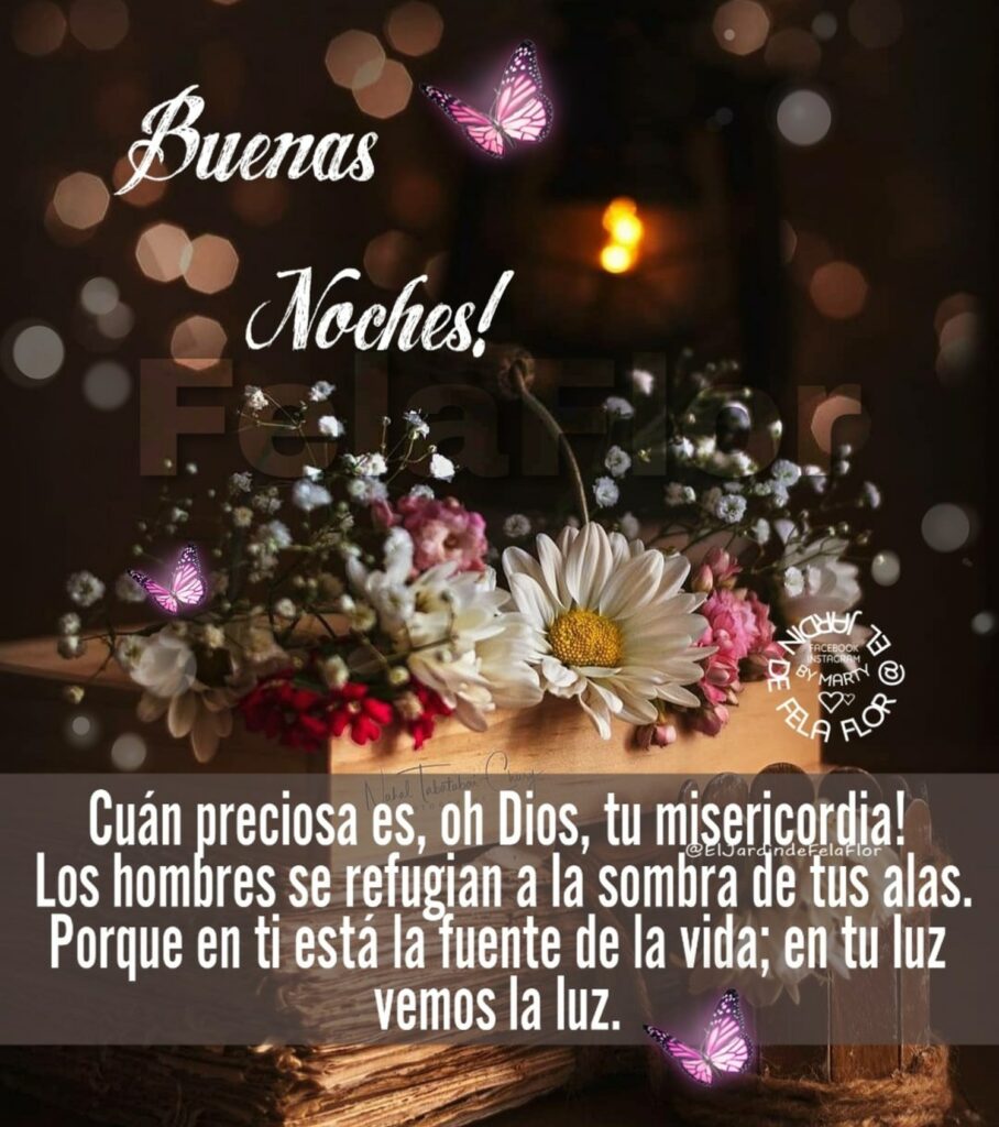 Buenas Noches ! Cuán preciosa es, oh Dios, tu misericordia! Los hombres se refugian a la sombra de tus alas. Porque en ti está la fuente de la vida; en tu luz vemos la luz.