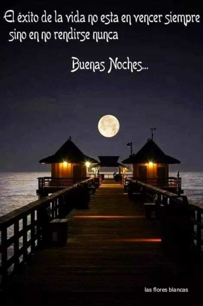 El éxito de la vida no esta en vencer siempre sino en no rendirse nunca. Buenas Noches...